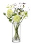 首图 –点击放大 - LSA - Column玻璃花瓶－高28厘米