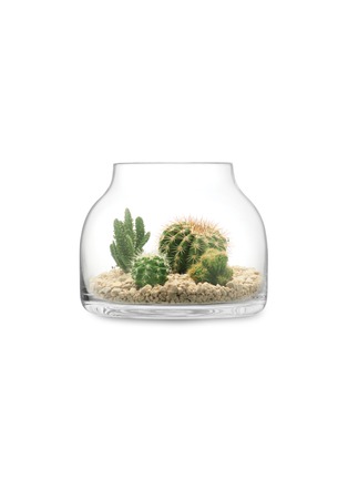  - LSA - Plant漏斗形玻璃花盆