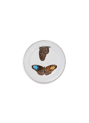 首图 –点击放大 - ASTIER DE VILLATTE - x John Derian Flying-Landed Butterfly plate