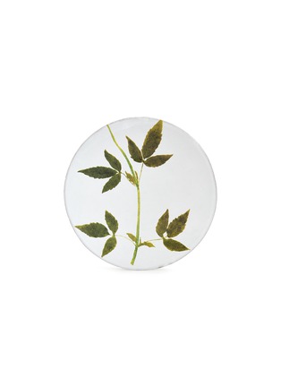 首图 –点击放大 - ASTIER DE VILLATTE - Drachophalum motif plate