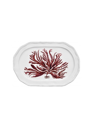 首图 –点击放大 - ASTIER DE VILLATTE - x John Derian Leaf Plate