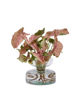 首图 –点击放大 - ELLERMANN FLOWER BOUTIQUE - x Lane Crawford Syngonium Pink short bulb planter vase