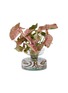 首图 –点击放大 - ELLERMANN FLOWER BOUTIQUE - x Lane Crawford Syngonium Pink short bulb planter vase