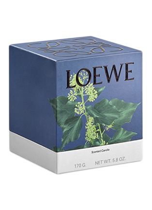细节 –点击放大 - LOEWE - Ivy香氛蜡烛170g－粉色