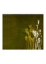 首图 –点击放大 - PETERSHAM NURSERIES - 拼色花卉图案亚麻餐巾套装－绿色