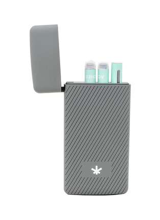 Detail View - 点击放大 - WILDFLOWER - CBD Rechargeable Vaporizer Kit — Aches