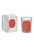 首图 –点击放大 - DIPTYQUE - Limited edition Baies scented candle 190g