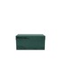 细节 –点击放大 - PROTECTOR DAILY - Protector Medium Surgical Mask — Pine