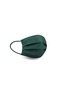 首图 –点击放大 - PROTECTOR DAILY - Protector Medium Surgical Mask — Pine