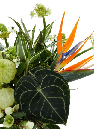 细节 –点击放大 - ELLERMANN FLOWER BOUTIQUE - x Lane Crawford Verdant Splendour – Extra Large