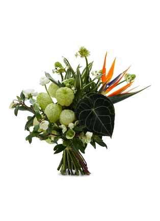 首图 –点击放大 - ELLERMANN FLOWER BOUTIQUE - x Lane Crawford Verdant Splendour – Extra Large