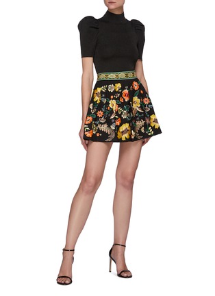 模特儿示范图 - 点击放大 - ALICE + OLIVIA - FIZER松紧腰褶间花卉刺绣半裙