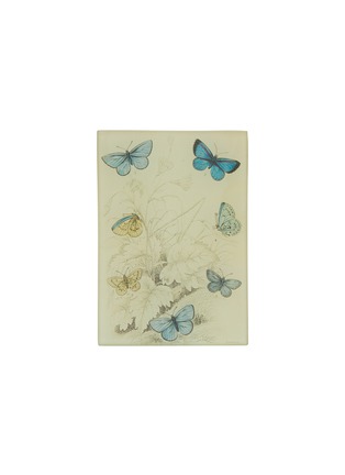 首图 –点击放大 - John Derian Company Inc. - Decoupage Polyommatus Rectangle Tray