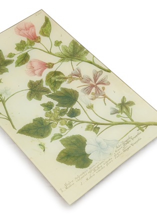 细节 - 点击放大 - John Derian Company Inc. - Tray — N. 697 Mallow Cheeses