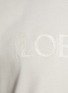  - LOEWE - LOGO 刺绣纯棉 T 恤