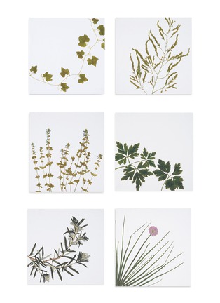 SUMMERILL & BISHOP | Gastronomic Herb Napkin — Set Of 6