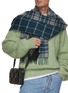 模特儿示范图 - 点击放大 - JOHNSTONS OF ELGIN - 双面格纹羊绒围巾