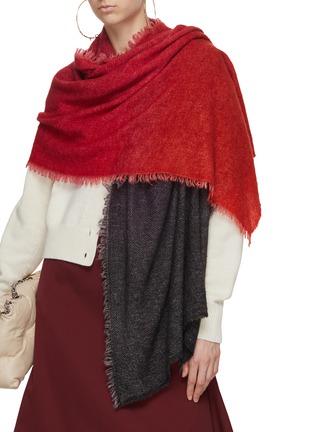 模特儿示范图 - 点击放大 - FALIERO SARTI - 渐变色须边混羊毛围巾