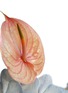细节 –点击放大 - ELLERMANN FLOWER BOUTIQUE - Jellybean — Medium
