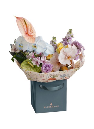 首图 –点击放大 - ELLERMANN FLOWER BOUTIQUE - Jellybean — Large