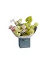 首图 –点击放大 - ELLERMANN FLOWER BOUTIQUE - Kiwi Kiss — Small