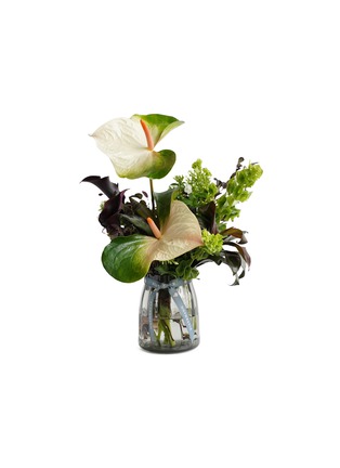首图 –点击放大 - ELLERMANN FLOWER BOUTIQUE - Green Oasis in a Vase