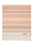 首图 –点击放大 - ZEGNA - Stripes Cotton Beach Towel