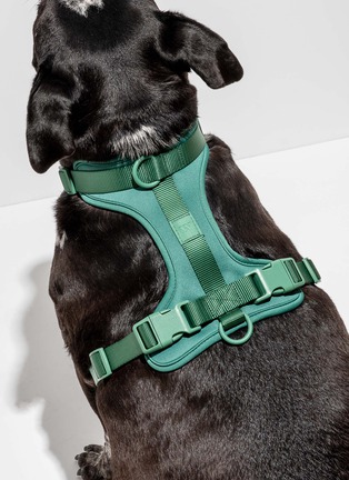 模特示范图 - 点击放大 - WILD ONE - 大号背心式狗狗背带 — 松绿色