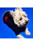 细节 –点击放大 - WARE OF THE DOG - 中号爱心狗狗针织开衫 — 深蓝色/红色