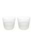 首图 –点击放大 - LSA - Arc Contrast Tumbler Set of 2 — Mist