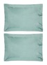 首图 –点击放大 - CELSO DE LEMOS - Bourdon Pillowcase Set of 2 — Lichen