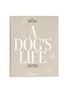 首图 –点击放大 - PRINTWORKS - A Dog's Life Photo Album