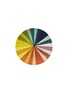 首图 –点击放大 - ASTIER DE VILLATTE - X John Derian Colour Wheel Dinner Plate