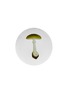 首图 –点击放大 - ASTIER DE VILLATTE - X John Derian Agaric Bulbeux Dinner Plate