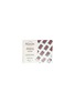 Main View - 点击放大 - MERCATO GOURMET BY GIANDO - Lavoratti Frozen Gelato Chocolate Dark Chocolate 12pc