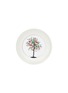 首图 –点击放大 - KRISTJANA S WILLIAMS - Four Season Tree Art Print — Sumar