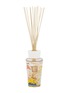 首图 –点击放大 - BAOBAB COLLECTION - Côte d'Azur Diffuser 500ml