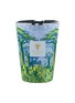 首图 –点击放大 - BAOBAB COLLECTION - Sacred Trees Yarani MAX24 Scented Candle 3kg
