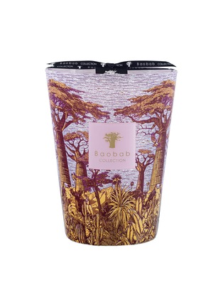 首图 –点击放大 - BAOBAB COLLECTION - Sacred Trees Massasso MAX24 Scented Candle 3kg
