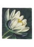 首图 –点击放大 - SUMMERILL & BISHOP - X John Derian Lotus Linen Napkin