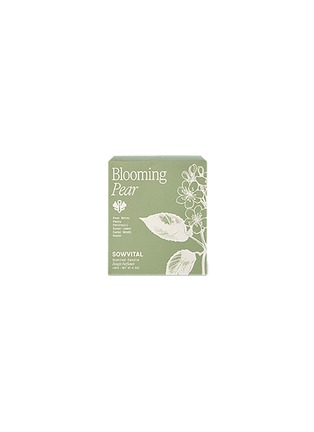 细节 –点击放大 - SOWVITAL - Blooming Pear Scented Candle 190G