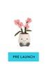 首图 –点击放大 - JELLYCAT - Amuseables Pink Orchid