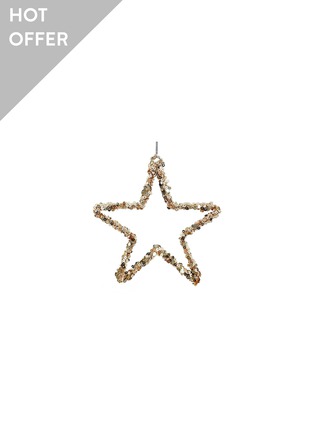 首图 –点击放大 - SHISHI - Open Star Sequin Ornament