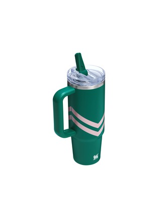 细节 –点击放大 - STANLEY - The Quencher ProTour Flip Straw Lid Tumbler 30oz — Emerald Chevron