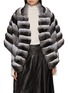 首图 - 点击放大 - CHEVITE - Chinchilla Fur Cape