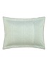 细节 –点击放大 - YVES DELORME - Pollen Pillow Case