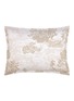 首图 –点击放大 - YVES DELORME - Paysages Pillowcase