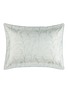首图 –点击放大 - YVES DELORME - Graminée Pillow Case