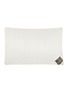 首图 –点击放大 - BRINKHAUS - Luxury Lifestyle Medium Iceland Down Box Pillow — Cream