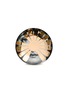 首图 –点击放大 - FORNASETTI - Tema e Variazioni Wall Plate N°37